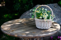 стол для базы отдыха