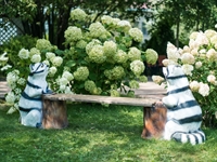 для парка развлечений