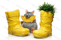 благоустройство детской площадки