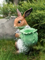 озеленение