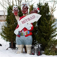 мы сделаем Вас заметнее