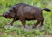 ландшафтная фигура кабан