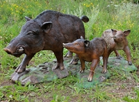 семейка кабанов для благоустройства территории