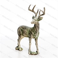 индивидуальные проекты