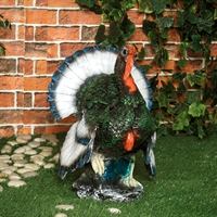 фигура индюга