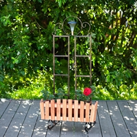 вертикальное озеленение летнего кафе