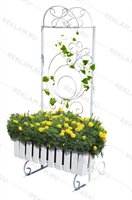 озеленение территории