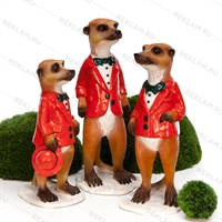 для оформления тц