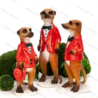 для оформления магазина