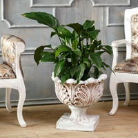 вазон для интерьера