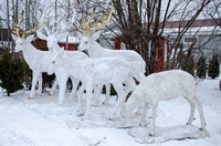 новогодние олени