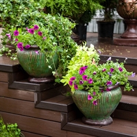 вазон для растений