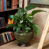 вазоны из стеклопластика