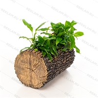 кашпо для пансионата