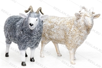 из стеклопластика