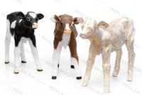 современная реклама