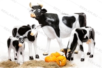 коровы из стеклопластика