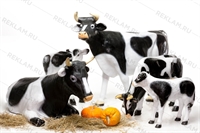 для рекламы и декораций