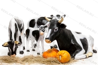 изготовление фигур по индивилуальным проектам