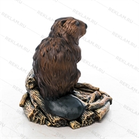 для ландшафтного дизайна