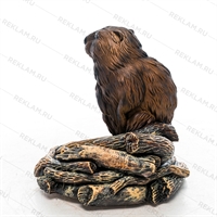 для территории школы