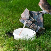 уличный фонтан с ведром