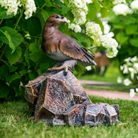 фонтан с орлом для зоопарка