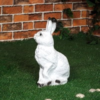 заяц F01007 заяц F01007