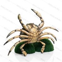 из стеклопластика