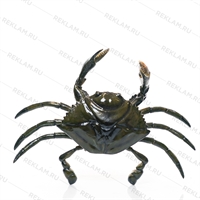 для рекламы магазина