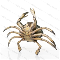 мы сделаем Вас заметнее