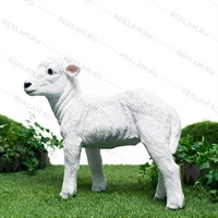 ягнёнок U09345 ягнёнок U09345