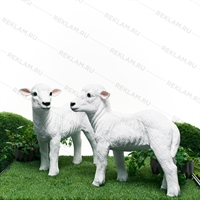 для рекламы вашего бизнеса для рекламы вашего бизнеса