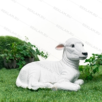 ягнёнок для рекламы ягнёнок для рекламы