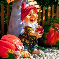 гном для рекламы