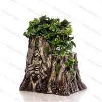 для растений