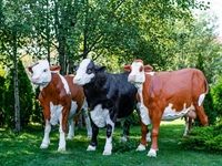 Объемная фигура Бык симментальской породы - фото 48247