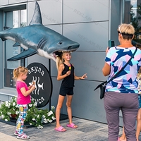 Рекламная фигура подвесная для океанариума Акула U09171-П стеклопластик - фото 48300