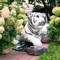 тигрёнок на камне