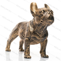 для магазина