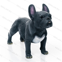 для помещения