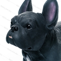 французский бульдог