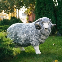 для зоопарка