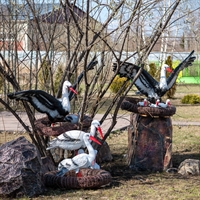 Декоративная крышка септика Гранит, фибергласс - фото 49083 Декоративная крышка септика Гранит, фибергласс - фото 49083