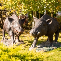 Фигура Кабан, пластик, 113 см.  - фото 49247