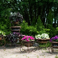 для входной группы ресторана для входной группы ресторана