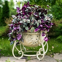 одноярусный вазон