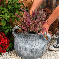 кашпо амфора