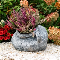 для растений и декора