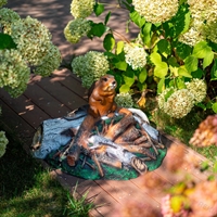 Крышка для септика Бобёр на запруде F07095 стеклопластик, ширина 92 см - фото 49662